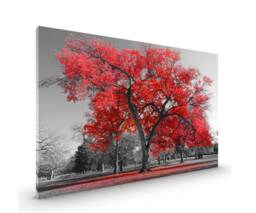 Red Black White Tree Canvas Framed Glossy Coated Premium With Metal Hanger Various Sizes - thumbnail 1