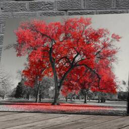 Red Black White Tree Canvas Framed Glossy Coated Premium With Metal Hanger Various Sizes - thumbnail 2