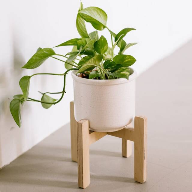 Removable Adjustable Plant Stand - Elevated Pots For Stylish Display Sustainable Birch Plywood Support - image 1