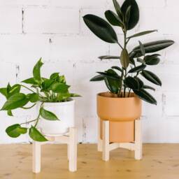 Removable Adjustable Plant Stand - Elevated Pots For Stylish Display Sustainable Birch Plywood Support - thumbnail 2