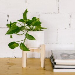 Removable Adjustable Plant Stand - Elevated Pots For Stylish Display Sustainable Birch Plywood Support - thumbnail 3