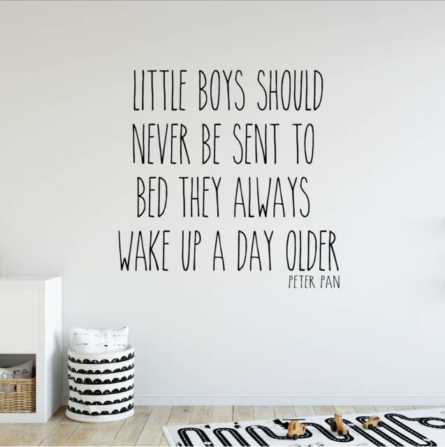 Wall Quote Decal, Little Boys Should Never Be Sent To Bed, Decals For Kids, Playroom Wall Sayings, Kids Stickers Rb122 - image 1