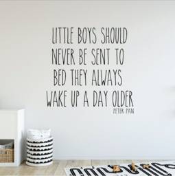 Wall Quote Decal, Little Boys Should Never Be Sent To Bed, Decals For Kids, Playroom Wall Sayings, Kids Stickers Rb122 - thumbnail 1