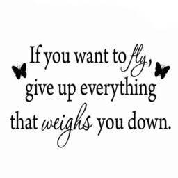 Vwaq If You Want To Fly, Give Up Everything That Weighs Down Wall Decal Vwaq-1624 - thumbnail 2