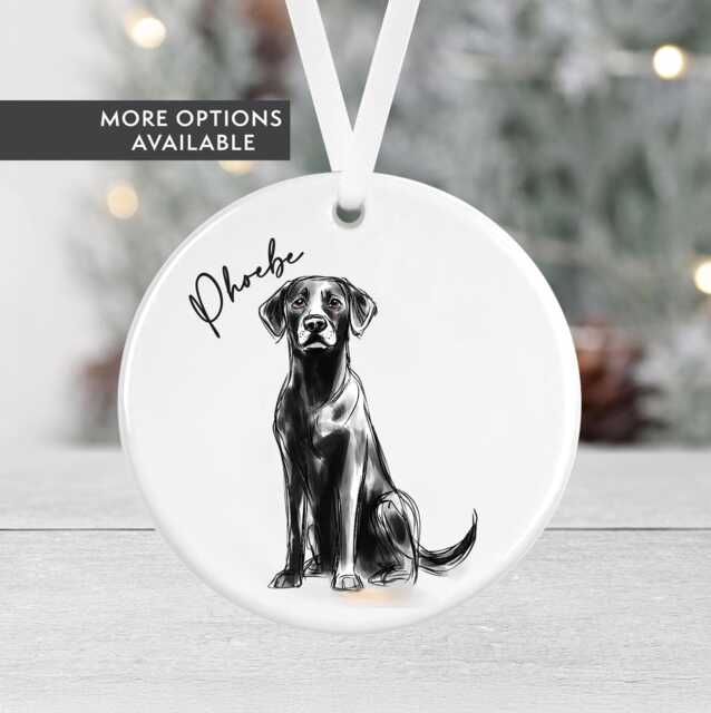 Personalised Dog Christmas Bauble - Black Labrador Gift Ceramic Pet Ornament Secret Santa Lover - image 1