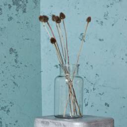Clear Apothecary Style Glass Jar Vase - Available in 3 Sizes - thumbnail 1