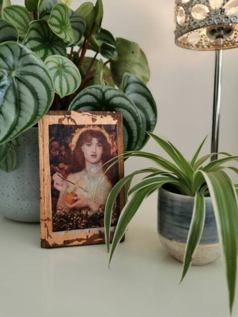 Venus Verticordia Wood Wall Art Rossetti Pre-Raphaelite Painting - image 1