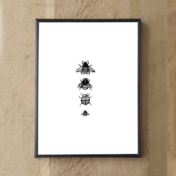 Lacy Insect Print Original Wall Art, Farmhouse Decor - thumbnail 1
