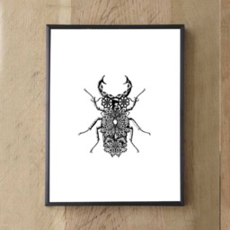 Lacy Insect Print Original Wall Art, Farmhouse Decor - thumbnail 3
