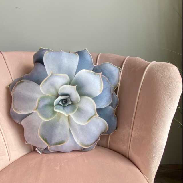 Echeveria Succulent Pillow 3D Plant Cushion, Realistic Design - image 1