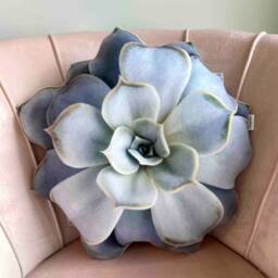 Echeveria Succulent Pillow 3D Plant Cushion, Realistic Design - thumbnail 3