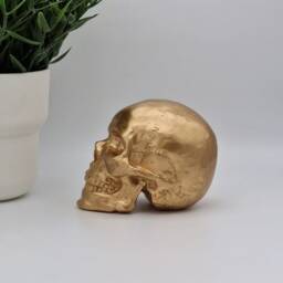 Golden Solid Mini Human Skull Ornament Small Replica Plaster Of Paris Skull - thumbnail 4