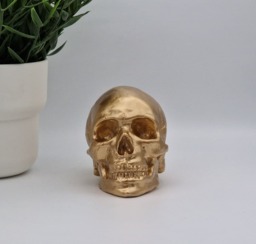 Golden Solid Mini Human Skull Ornament Small Replica Plaster Of Paris Skull