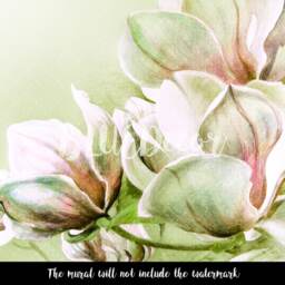Fabulous Magnolia Flowers Removable Wallpaper, Nature Mural, Flower, Floral, Peel & Stick, Wall Covering, Decor, Mural #59 - thumbnail 3
