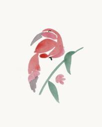 Toucan Physical Print - Watercolour Tropical Bird Painting Wall Art Artwork Handmade Rainforest Red Abstract Size A5 A4 - thumbnail 1