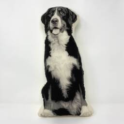 Bernese Mountain Dog Pillow, Silkscreen Printed Contour Shape - thumbnail 4
