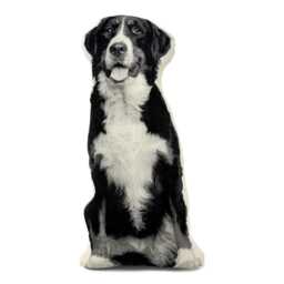 Bernese Mountain Dog Pillow, Silkscreen Printed Contour Shape - thumbnail 1