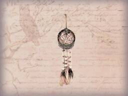 Sparkle Dreamcatcher Wall Hanging Dream Catcher Boho Girls Room Wood Beads Suede Leather Lace Feathers Beaded