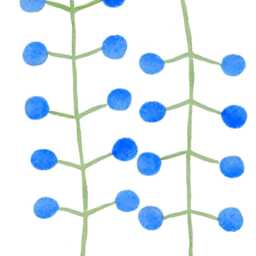 Herb Wall Decal 2-Pack No.5 Blue, Giant Decal, Floral Decals, Furniture Flower Stickers, Dream Meadow - thumbnail 3
