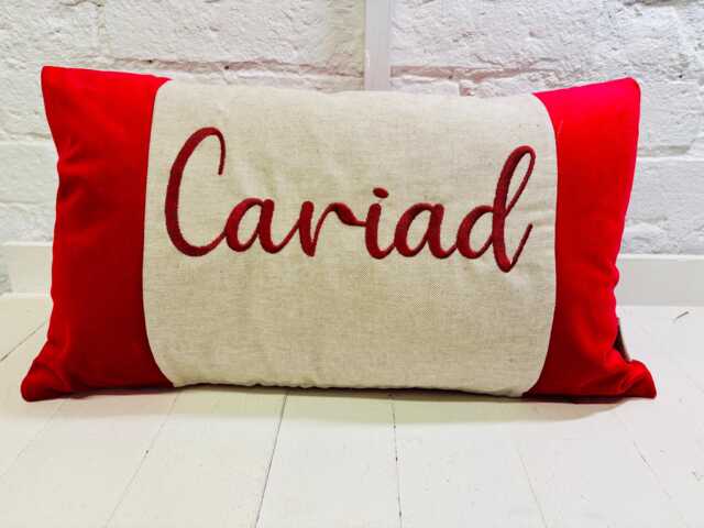 Red Velvet Cariad Cushion - image 1