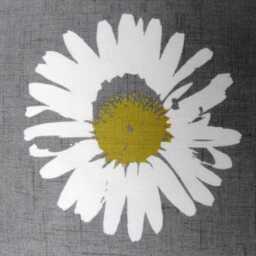 Daisy Floral Cotton Cushion Cover Grey & Yellow Home Decor - thumbnail 3