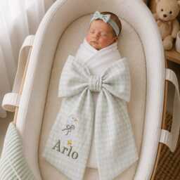 Custom Goose Embroidered Newborn Bow Sash, Baby Gingham Swaddle, Sash For Picture, Shower Gift - thumbnail 1