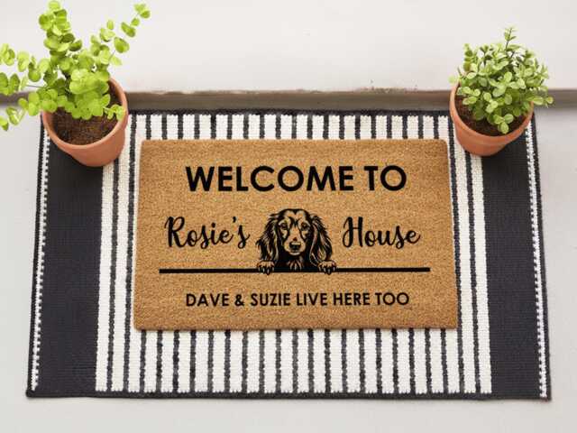 Long Haired Dachshund Doormat - Custom Dog Breed Mat Gifts For Lovers Personalized Welcome Rug - image 1