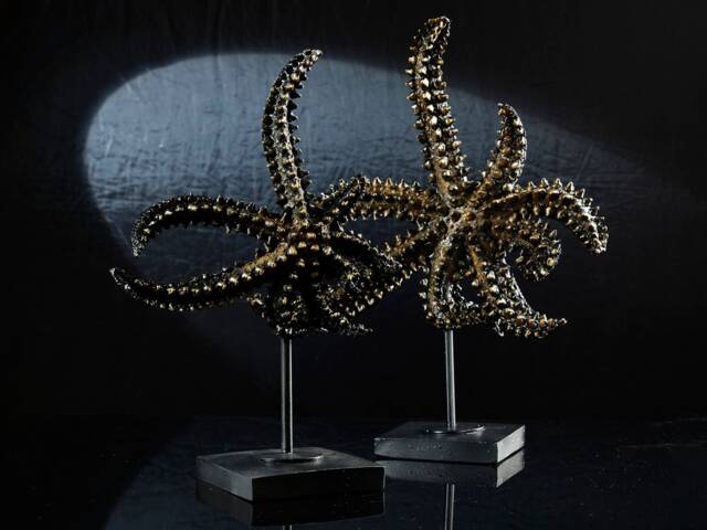 Handmade Starfish Sculpture Set Large Coastal Statue, Stylish Bookshelf & Sideboard Decor - image 1