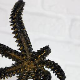 Handmade Starfish Sculpture Set Large Coastal Statue, Stylish Bookshelf & Sideboard Decor - thumbnail 4