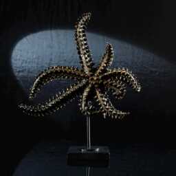 Handmade Starfish Sculpture Set Large Coastal Statue, Stylish Bookshelf & Sideboard Decor - thumbnail 2