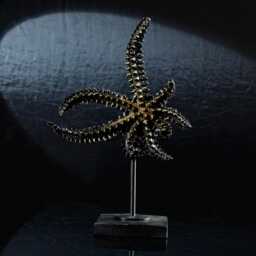 Handmade Starfish Sculpture Set Large Coastal Statue, Stylish Bookshelf & Sideboard Decor - thumbnail 3