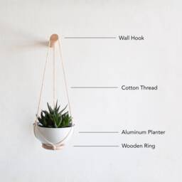 Hanging Succulent Planter Mini, Wall Plant Hanger, Mini Planter, Hanging, Cactus Hanger - thumbnail 2