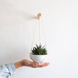 Hanging Succulent Planter Mini, Wall Plant Hanger, Mini Planter, Hanging, Cactus Hanger - thumbnail 1