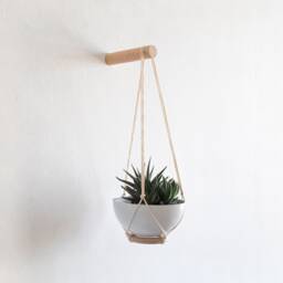 Hanging Succulent Planter Mini, Wall Plant Hanger, Mini Planter, Hanging, Cactus Hanger - thumbnail 3