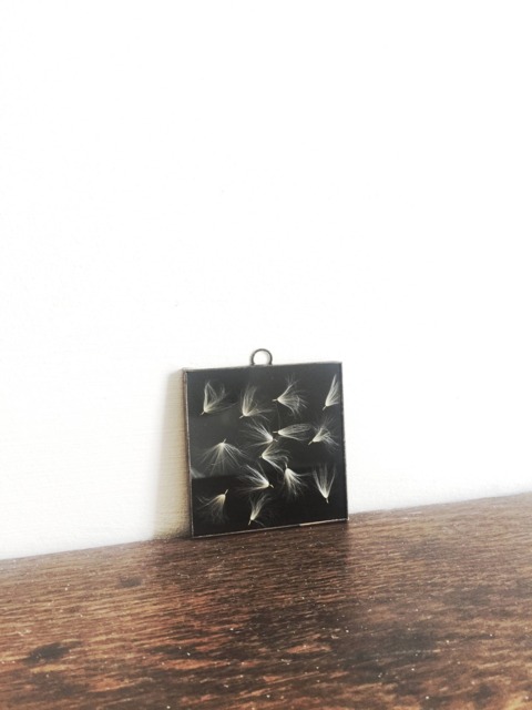 Black Opaque Glass Pressed Flower Frame - Reapressed Flowers Dandelion Seeds Real Wall Hanging - image 1