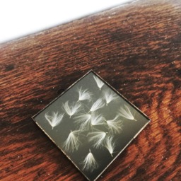 Black Opaque Glass Pressed Flower Frame - Reapressed Flowers Dandelion Seeds Real Wall Hanging - thumbnail 3
