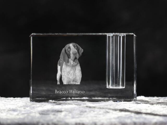 Bracco Italiano, Crystal Pen Holder With Dog, Souvenir, Decoration, Limited Edition, Collection - image 1