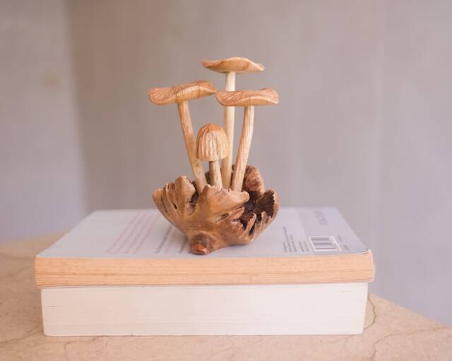 Small Mushroom Sculpture, Personalized Statue, Hand Carved Miniature, Wood Carving, Art, Wooden Figure, Room Decor, Kitchen, Gift For Mother - image 1