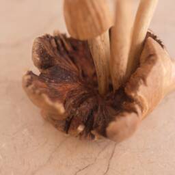 Small Mushroom Sculpture, Personalized Statue, Hand Carved Miniature, Wood Carving, Art, Wooden Figure, Room Decor, Kitchen, Gift For Mother - thumbnail 4