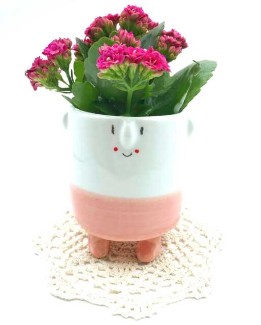 Mrs.pinky - Cheerful Ceramic Pot Character Handmade & Unique Ideal For Cactus, Succulents, Flowers Perfect Gift Plant Lovers - image 1
