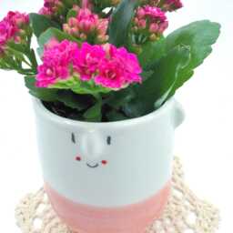 Mrs.pinky - Cheerful Ceramic Pot Character Handmade & Unique Ideal For Cactus, Succulents, Flowers Perfect Gift Plant Lovers - thumbnail 2