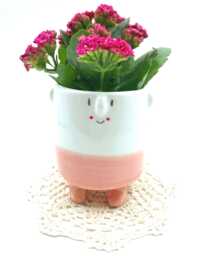 Mrs.pinky - Cheerful Ceramic Pot Character Handmade & Unique Ideal For Cactus, Succulents, Flowers Perfect Gift Plant Lovers - thumbnail 1