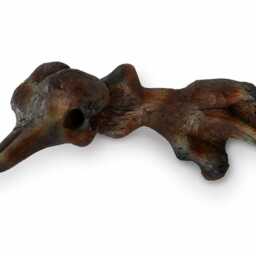 Hand-Carved Olive Wood Bird Head Sculpture, Rustic Modern Art Decor - thumbnail 2