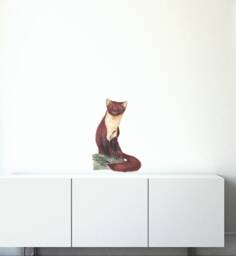 Pine Marten Wall Sticker Decal - Kids Stickers, Animals Childrens Decals, Art, Room, Girl, Boy