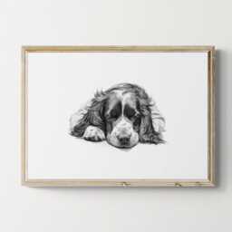 Sleeping Springer Spaniel Print, Dog Vintage Sketch, Farmhouse Decor, Gifts - thumbnail 1