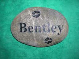 Engraved Stone, Carved Etched Horse Memorial Wedding Namesake Pet Marker, Cat Stone - thumbnail 2