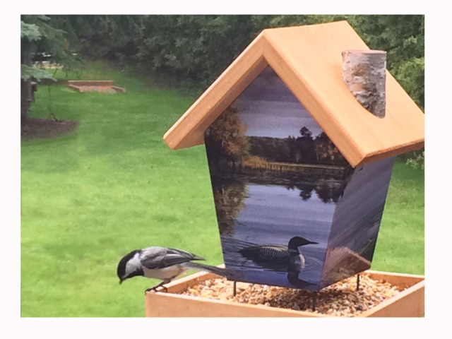 Loones Bird Feeder - image 1
