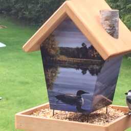 Loones Bird Feeder - thumbnail 3