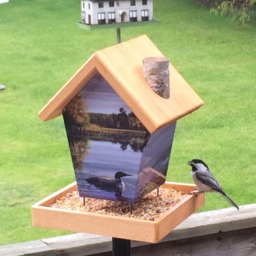 Loones Bird Feeder - thumbnail 2