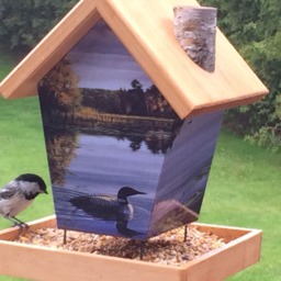 Loones Bird Feeder - thumbnail 4